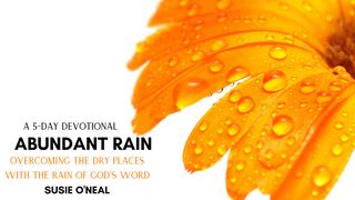 Abundant Rain 2 Kings 4:6 New International Version