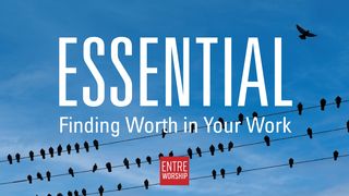Essential: Finding Worth in Your Work Genesis 41:41-43 The Message