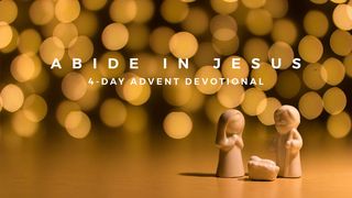 Abide in Jesus - 4-Day Advent Devotional Mark 13:32-37 The Message