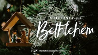 A Journey to Bethlehem Matthew 2:9-10 The Message