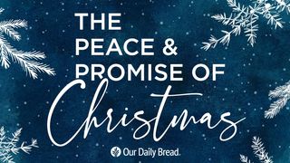 The Peace and Promise of Christmas John 17:1-11 New International Version