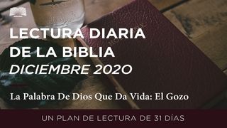 Lectura Diaria De La Biblia De Diciembre 2020 La Palabra De Dios Que Da Vida: El Gozo Lucas 2:38 Nueva Traducción Viviente