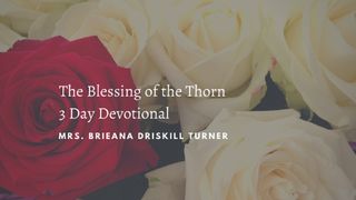 3 Lessons of the Blessing of the Thorn Titus 2:11-14 The Message