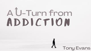 A U-Turn From Addiction Romans 8:32 New American Standard Bible - NASB 1995