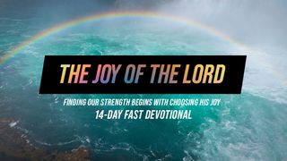 The Joy of the Lord Psalms 4:7 Amplified Bible
