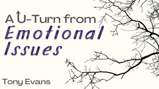 A U-Turn From Emotional Issues Proverbs 3:5-12 The Message
