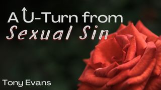 A U-Turn From Sexual Sin 1 Thessalonians 4:3-4 New Living Translation