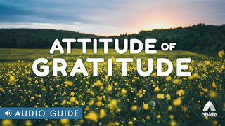 Attitude of Gratitude 1 Thessalonians 5:20 American Standard Version
