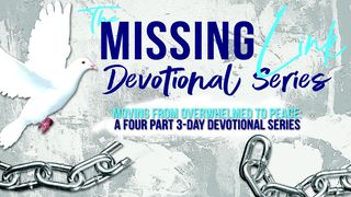 The Missing Link Series: From Overwhelm to Peace Matthew 11:28 Amplified Bible