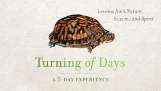 Turning of Days: Lessons From Nature, Season, and Spirit Isaiah 11:1-5 The Message