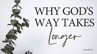 Why God's Way Takes Longer Psalms 1:2-3 The Message