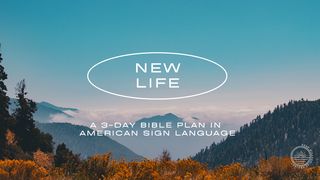 New Life Psalms 32:5 Amplified Bible