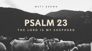 Psalm 23: The Lord Is My Shepherd John 10:14 The Passion Translation