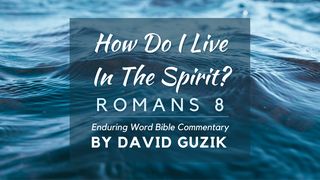 How Do I Live in the Spirit?: Bible Commentary on Romans 8 Isaiah 11:9 Amplified Bible