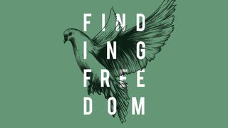 Finding Freedom Romans 14:17-21 The Message
