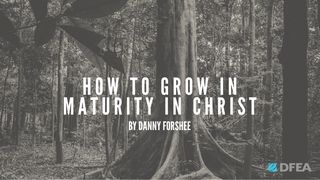 Growing in Maturity in Christ  John 3:3 New Century Version
