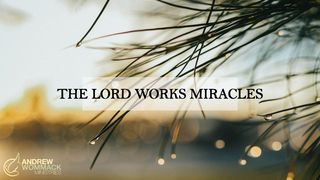 The Lord Works Miracles Leviticus 13:39 New Century Version