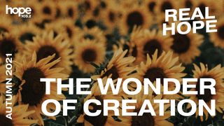 Real Hope: The Wonder of Creation Psalms 8:4 New Living Translation