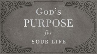 5 Days From God's Purpose for Your Life by Dr. Stanley Acts of the Apostles 17:26 New Living Translation