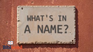 What's in a Name? Deuteronomy 28:11 English Standard Version 2016