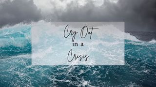 Cry Out in a Crisis Matthew 10:31 New Century Version