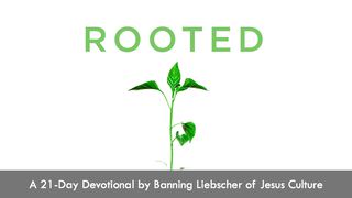 Rooted Eclesiastés 9:10 Reina Valera Contemporánea