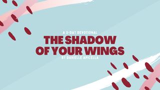 The Shadow of Your Wings Matthew 14:33 The Passion Translation