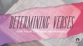 [Great Verses] Determining verses for your life and humankind Genesis 15:1 The Passion Translation