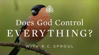 Does God Control Everything? 1 Peter 1:1-2 Amplified Bible
