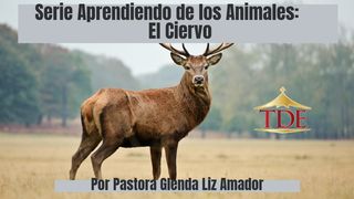 Aprendiendo De Los Animales: El Ciervo 2 Corintios 12:9 Nueva Versión Internacional - Español