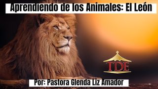 Aprendiendo De Los Animales: El León Jueces 6:14 La Biblia de las Américas