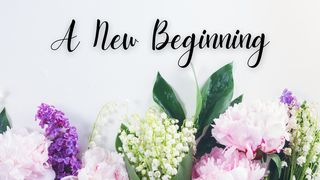 A New Beginning 1 John 3:21-24 The Message