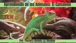 Aprendiendo De Los Animales: El Camaleón Santiago 3:10-13 Nueva Versión Internacional - Español
