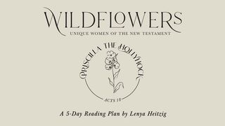 Wildflowers Week Four | Priscilla the Hollyhock  Acts 18:1-26 King James Version