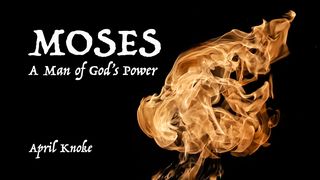 Moses, a Man of God's Power Éxodo 33:23 Nueva Versión Internacional - Español