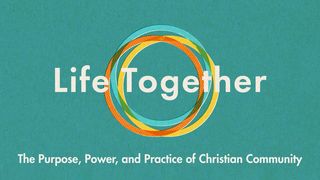 Life Together: The Purpose, Power, and Practice of Christian Community Romans 14:19-22 New International Version