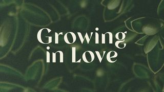 Growing in Love Ephesians 4:4-6 The Message