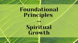 Foundational Principles for Spiritual Growth Romans 13:8-10 The Message