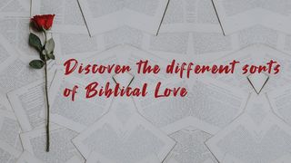 Discover the Different Sorts of Biblical Love 1 Thessalonians 4:9 American Standard Version