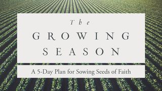 The Growing Season Matthew 13:22 The Message