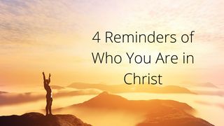 4 Reminders of Who You Are in Christ Galatians 5:1 The Message