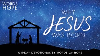 Why Jesus Was Born 1 Timothy 1:12-17 New International Version