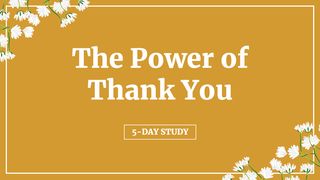The Power of Thank You Romans 14:19-21 The Message
