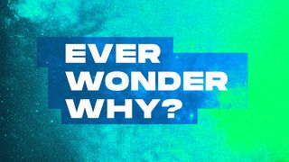 Ever Wonder Why?  Matthew 18:5 English Standard Version 2016