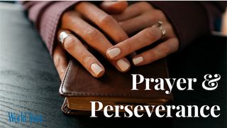 Prayer & Perseverance Philippians 1:16 American Standard Version