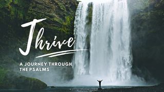 Thrive: A Journey Through the Psalms Psalms 31:14-16 New Living Translation