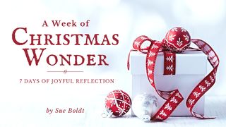 A Week of Christmas Wonder Isaías 43:20-21 Nueva Versión Internacional - Español