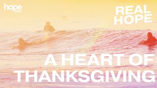 A Heart of Thanksgiving Matthew 10:29-31 The Message