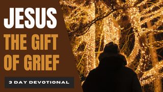 Jesus the Gift of Grief: Overcoming the Holiday Blues Isaiah 61:8 New American Standard Bible - NASB 1995