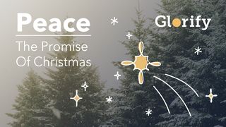 Peace: The Promise of Christmas  John 14:30 New International Version